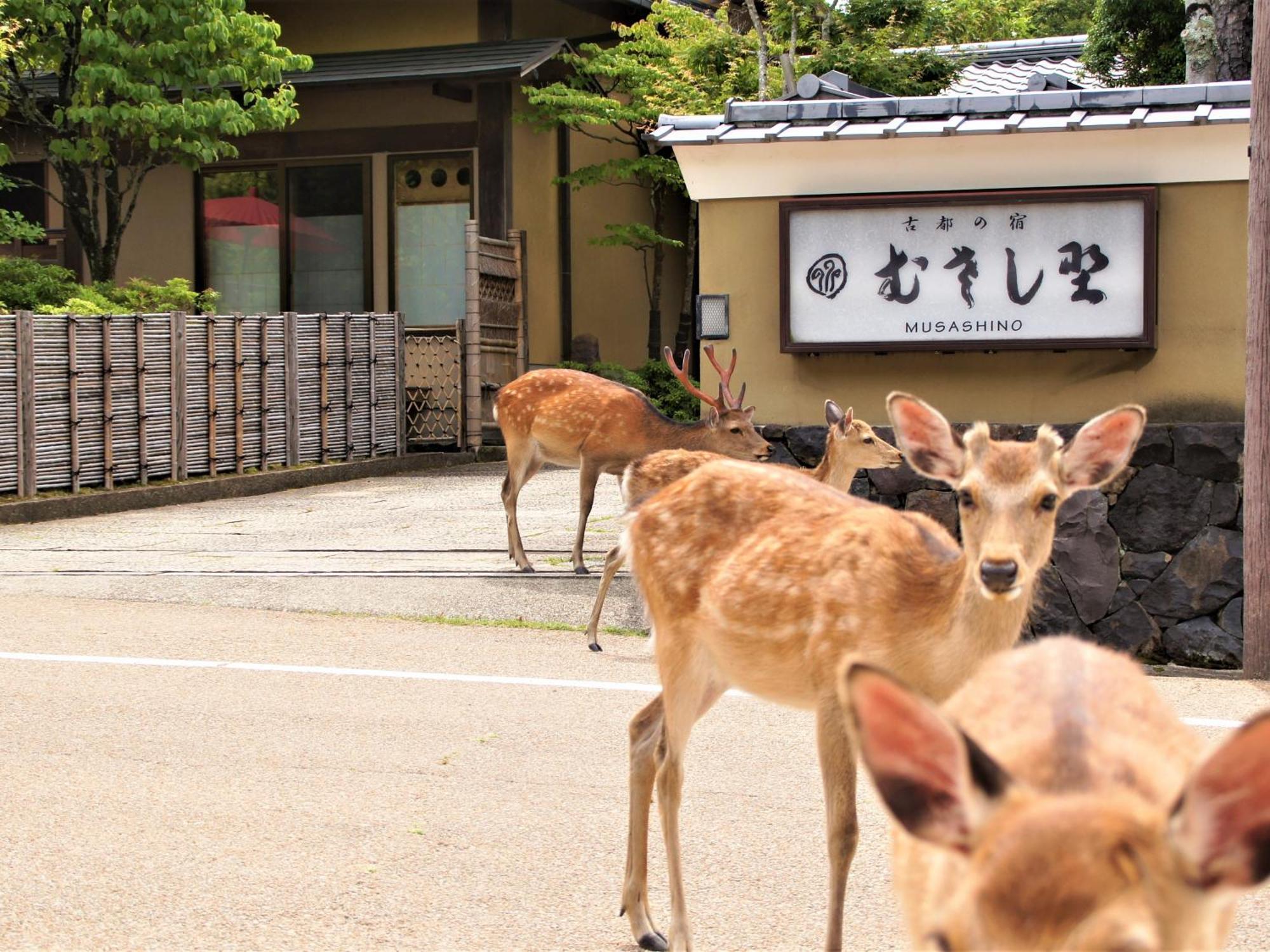 Kotonoyado Musashino Nara Eksteriør billede