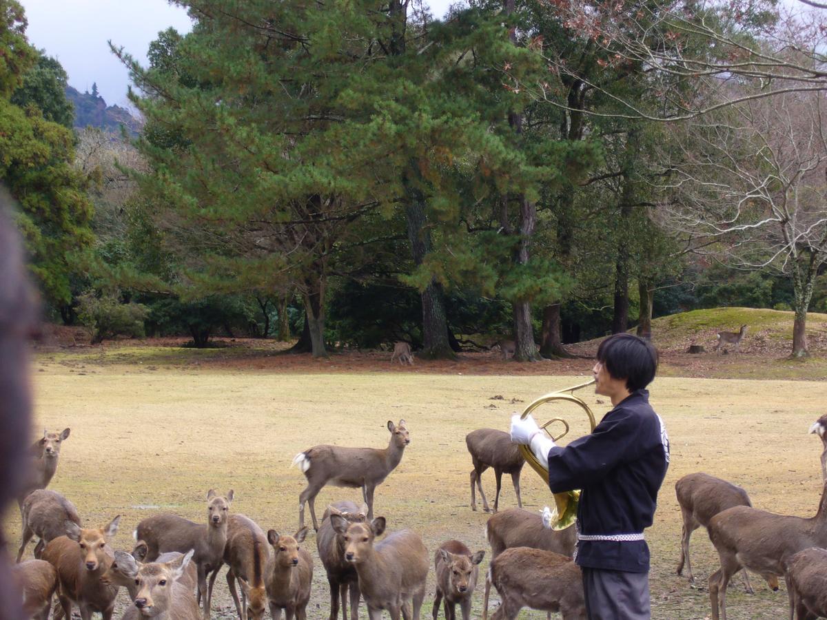 Kotonoyado Musashino Nara Eksteriør billede
